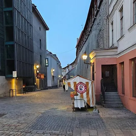 Διαμέρισμα Dictumfactum Modern Viru Gates Ταλίν